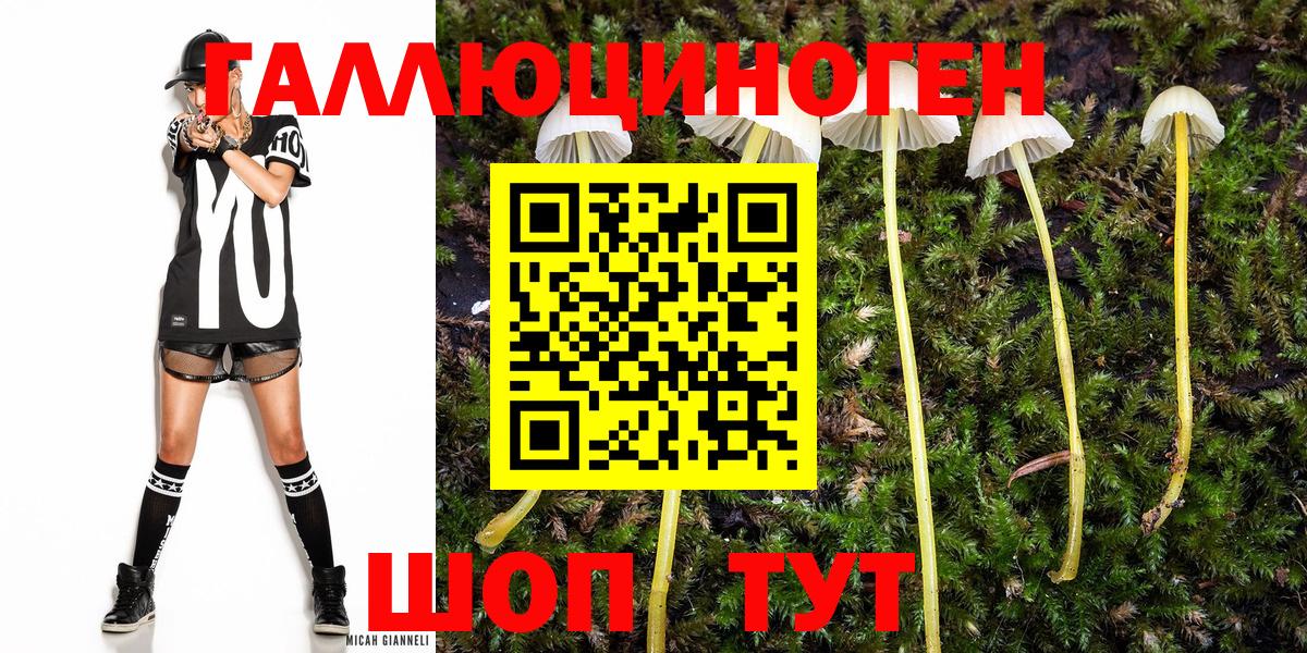 Буйнакск  Псилоцибиновые грибы Psilocybine cubensis  Галлюциногенные грибы Psilocybine cubensis  Вход с VPN 