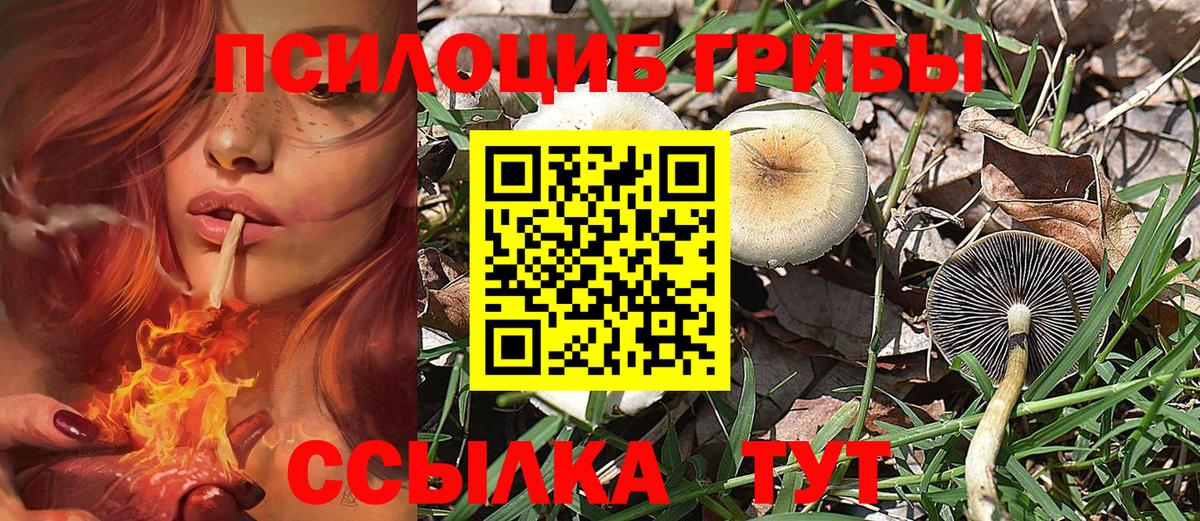 Псилоцибиновые грибы Magic Shrooms Буйнакск